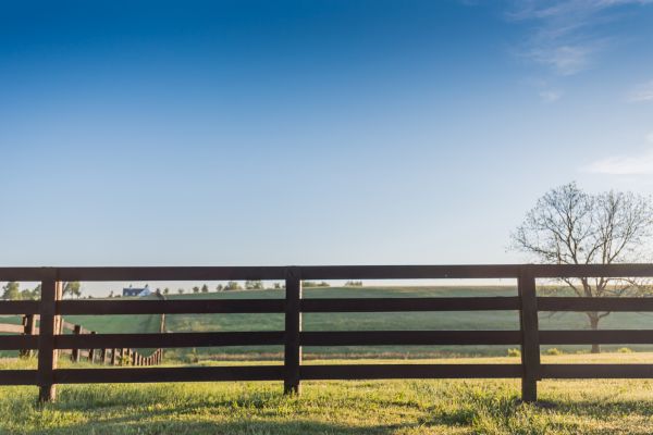 Fence Railing Installation Service
