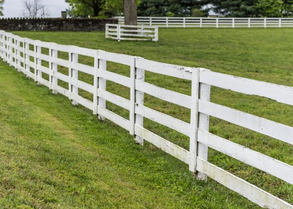 Horse Enclosure Construction