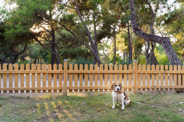 Wood Panel Fencing