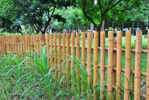 Bamboo Fence Installation